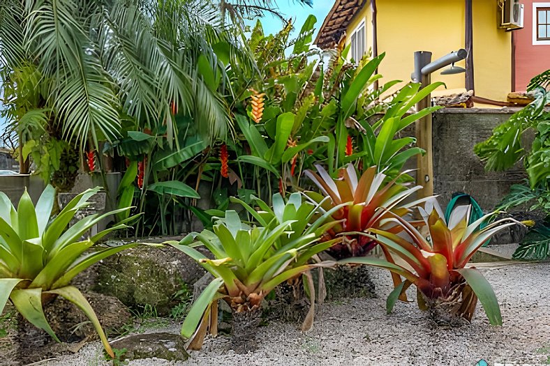 Casa do Bexiga | Estilo a 5 min da Praia do Curral