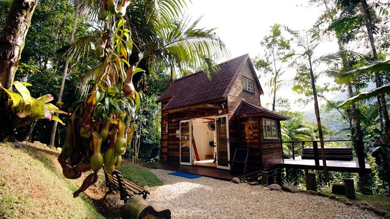 Tiny House Ubatuba | Uma jacuzzi em meio à Mata Atlântica