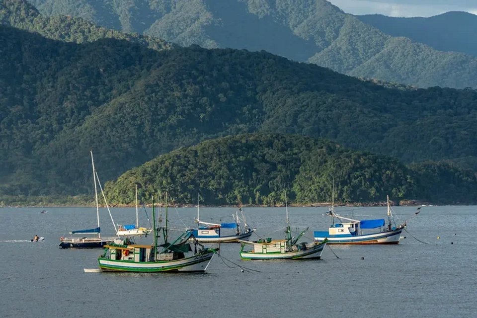 Taxa de Preservação Ambiental (TPA) em Ubatuba: Tudo o que Você Precisa Saber Antes de Viajar